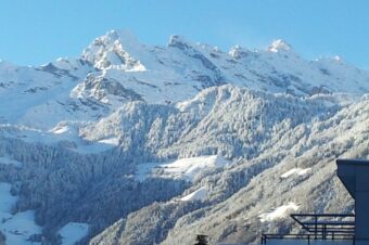 The Gotthard Diaries: Goats, Glaciers, and Getting Lost in Switzerland