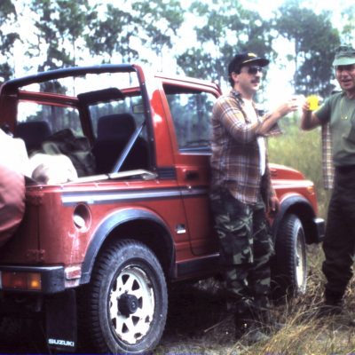 In the Florida Everglades