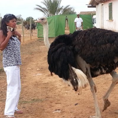 Yas trying a selfie with the Ostrich