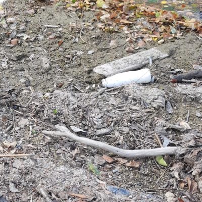 URI Lakeside before cleanup