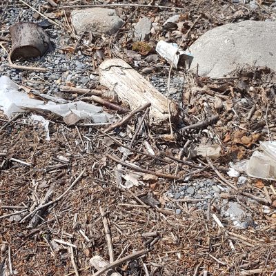 URI Lakeside before cleanup