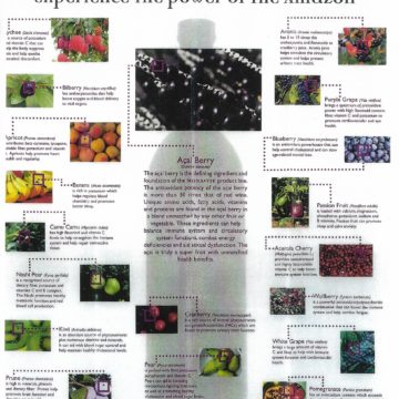 Most Powerful 19 Fruits in the World