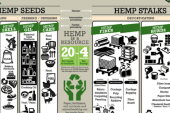 Hemp, Cannabis, CBD or Kenaf ?!