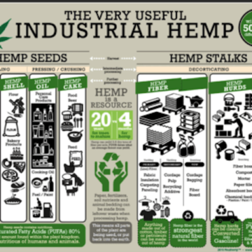 Hemp, Cannabis, CBD or Kenaf ?!