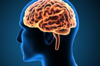 Serious Food for Thoughts, 5 G & Your Brain Health!