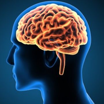 Serious Food for Thoughts, 5 G & Your Brain Health!