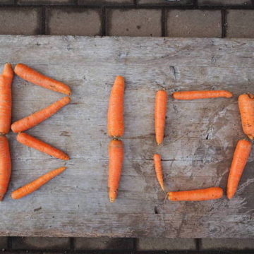 Popular Organic is on the rise Worldwide