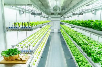 Führender Anbieter in der Lokalisierung der Landwirtschaft