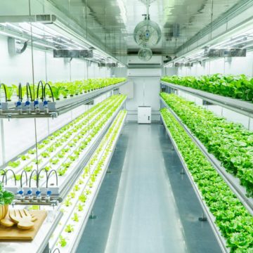 Führender Anbieter in der Lokalisierung der Landwirtschaft