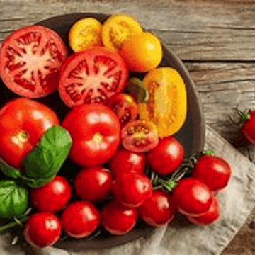 English Tastes Warm up to Popular Tomatoes