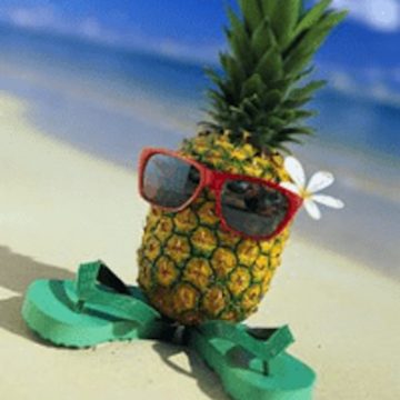 Christopher Columbus’s Strange Fruit – Did You know?