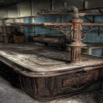 THE PROFESSION OF CHEF