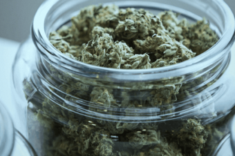 CBD Kills Cancer  Cells, Leaves Healthy Cells