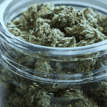 CBD Kills Cancer  Cells, Leaves Healthy Cells