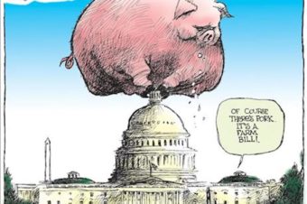 The 5,593-page Porky Bill