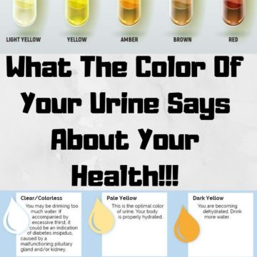 Why is Urine Yellow?? Do You know?
