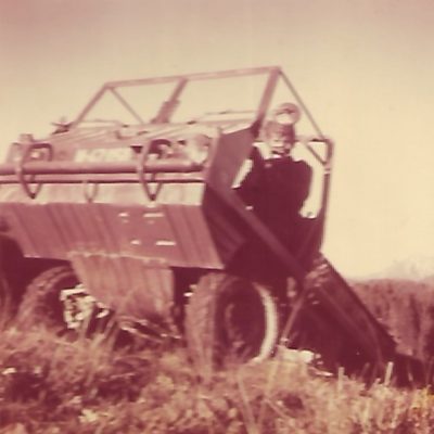 the famous Haflinger