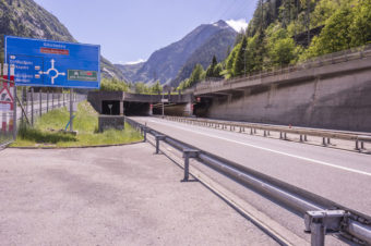 The Swiss Groundhogs!