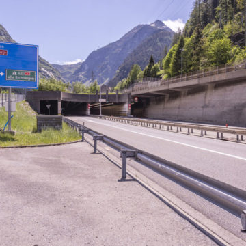 The Swiss Groundhogs!