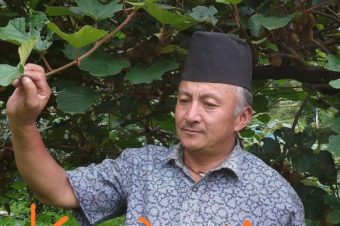 The Peculiar path of Life