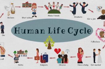 What Is the Purpose of Human Life?