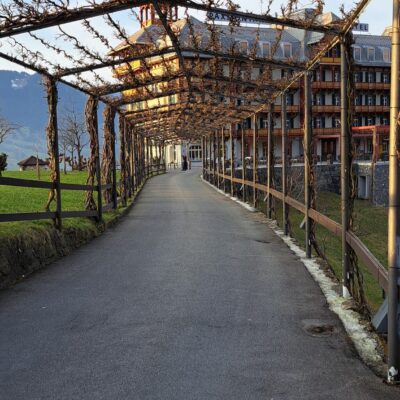 The Entrance to the Hotel