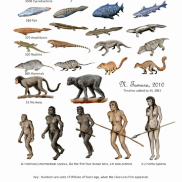 The first known Foods eaten by Humans