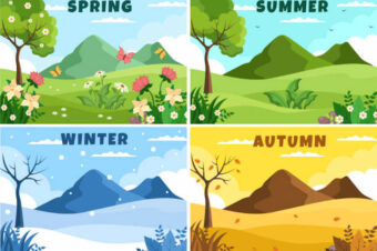 Eating with the Seasons