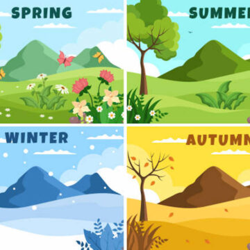 Eating with the Seasons