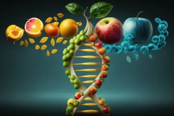 Foods in Switzerland verses the USA