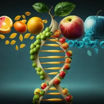 Foods in Switzerland verses the USA